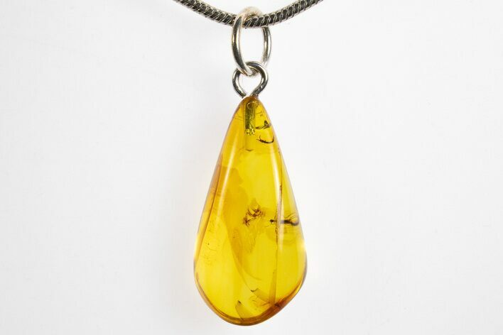 Polished Baltic Amber Pendant (Necklace) - Springtail and Fly! #328454